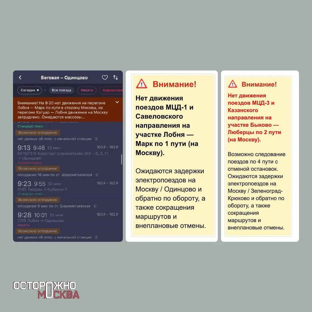 В результате сильного снегопада на дорогах Подмосковья произошло смертельное столкновение, в Москве и рядах подмосковных населённых пунктов зафиксированы падения деревьев, повреждения ЛЭП и задержки поездов.