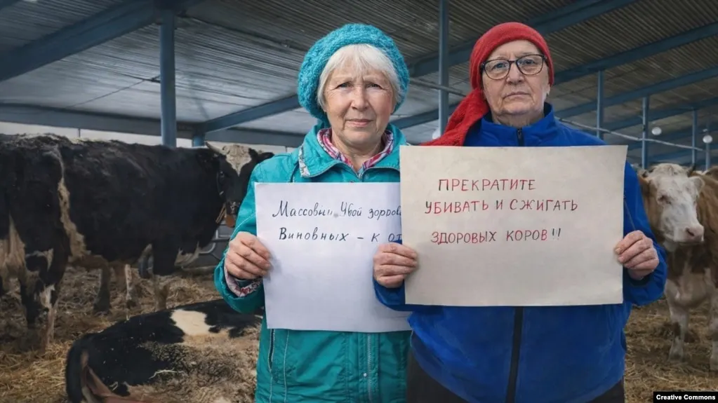 Министр сельского хозяйства Новосибирской области Андрей Шинделов лишился должности после жалоб на работу ведомства и вспышек опасных заболеваний среди животных, повлекших массовый забой скота и протесты фермеров в ряде регионов.
