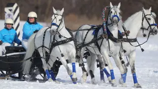Помощник президента Владимир Мединский предложил закрепить скачки на лошадях в упряжке «русская тройка» в статусе национального вида спорта. Ранее дисциплину внесли во Всероссийский реестр видов спорта как один из традиционных российских видов спорта.