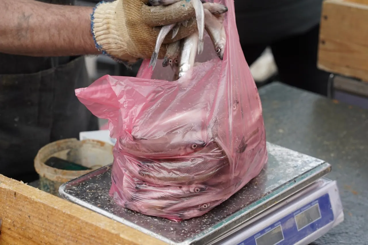 Специалисты отмечают, что корюшка чувствует запах и уходит из загрязнённых зон; основной нерест проходит в пресных притоках, куда нефть не дошла. Для окончательной проверки рекомендуют лабораторный анализ или так называемую «пробу варки».