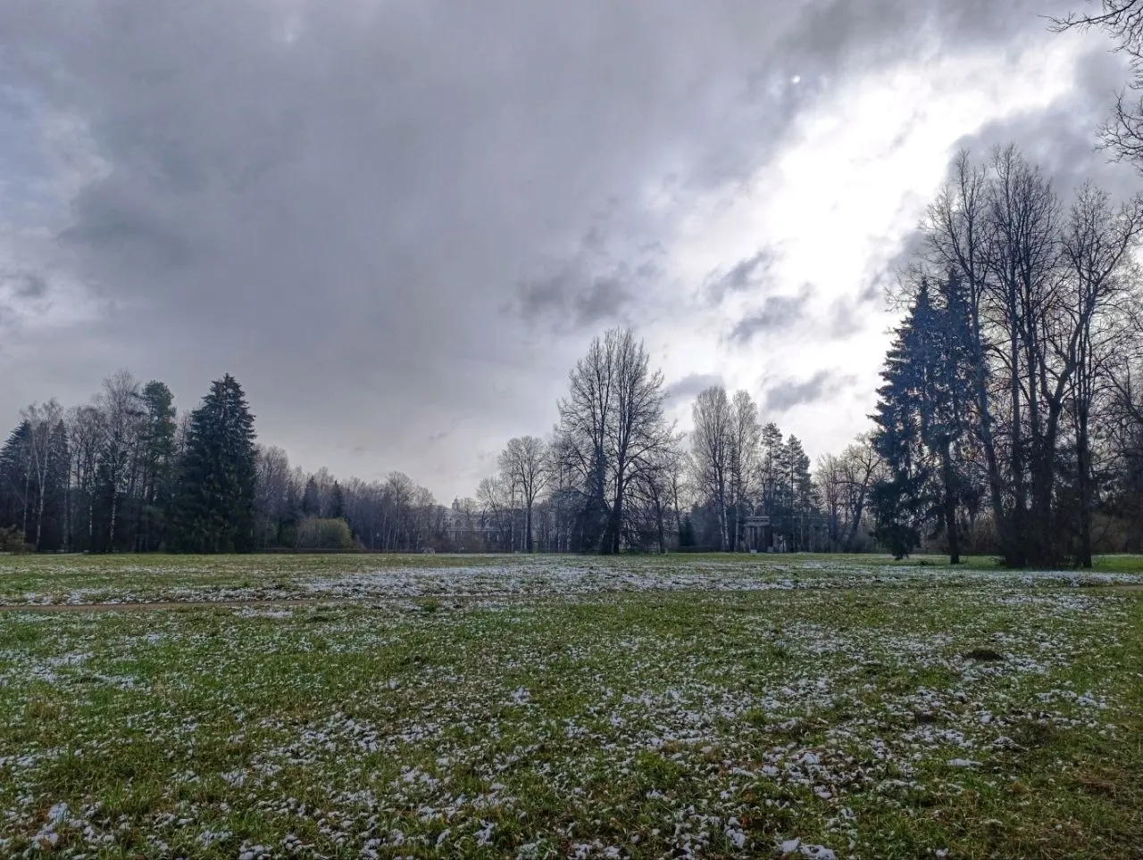 Гости Павловска по-разному оценивают февральскую погоду: одни ждут тепла, другие наслаждаются свежим ветром и зимними пейзажами.