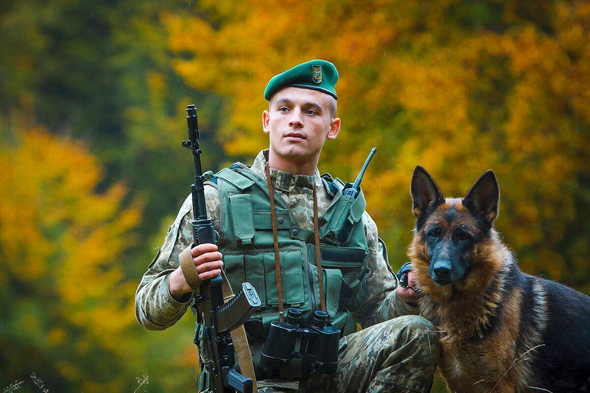 За последние годы в реестре госзакупок появились аукционы, где вместе со списанным имуществом продавали сотни служебных собак — от щенков до пожилых животных.