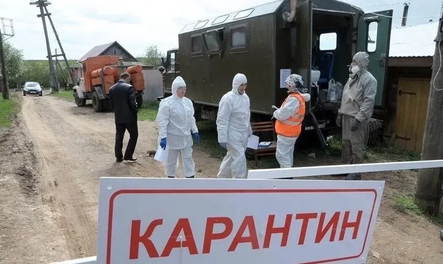 На ферме на улице Молодёжной введены ограничения: доступ в карантинную зону ограничен, а перемещение невакцинированных животных запрещено на длительный срок.