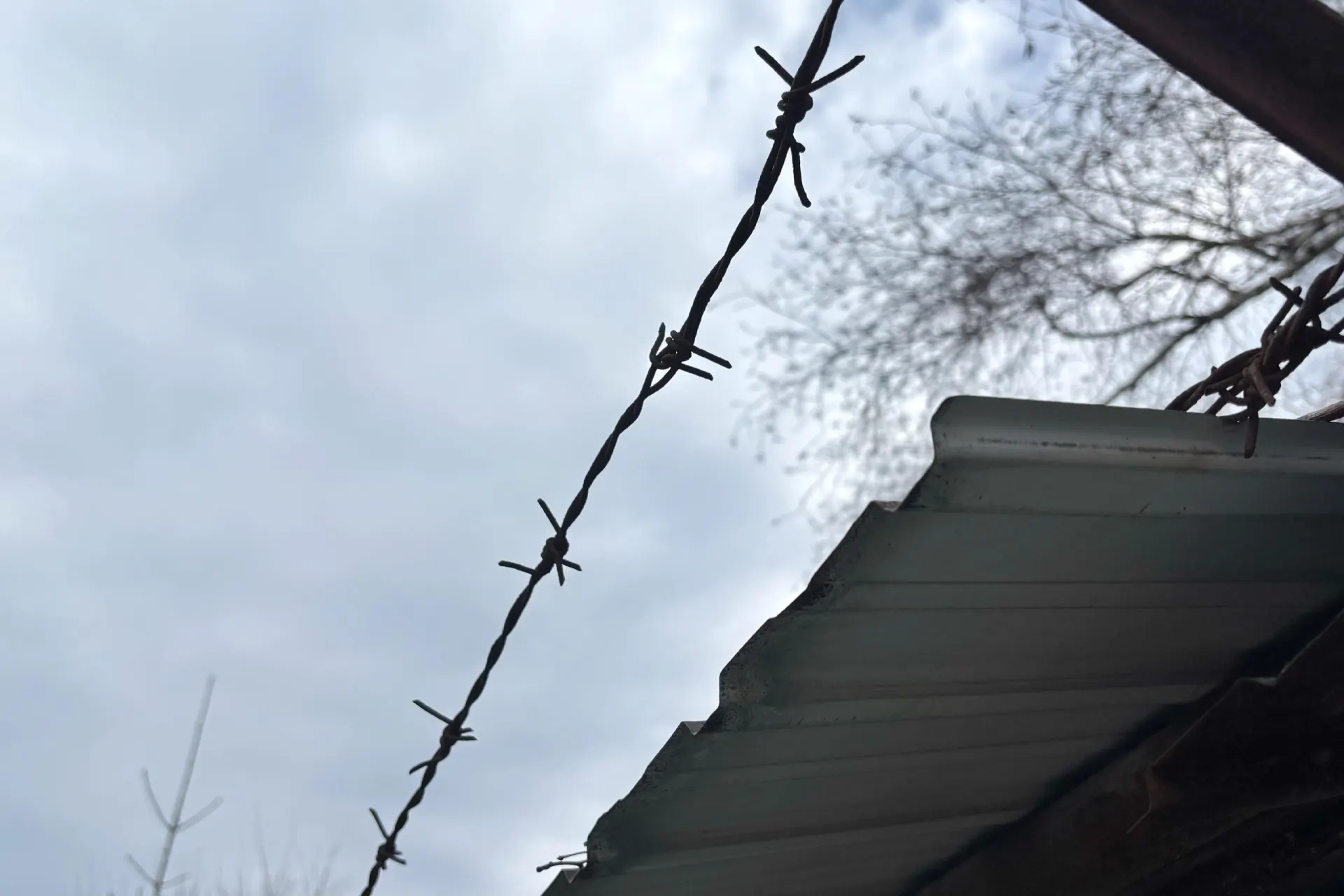 Женщине предъявлено обвинение: по данным следствия, она нанесла мужчине несколько ножевых ранений в голову. Суд избрал ей меру пресечения в виде содержания в СИЗО.