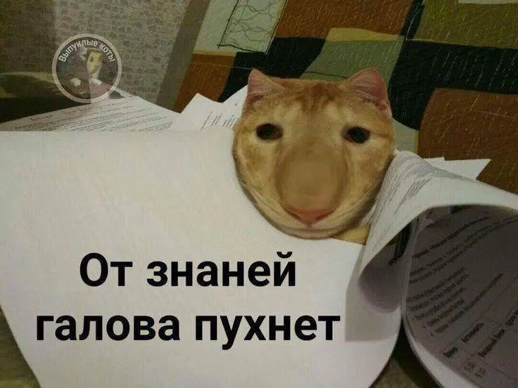 Минспорт предлагает опробовать в этом году в тестовом режиме норматив по управлению небольшим дроном, а с будущего года сделать его доступным для всех желающих по всей стране. Знак ГТО по этому испытанию может добавить до 10 баллов к результатам выпускника на экзаменах.