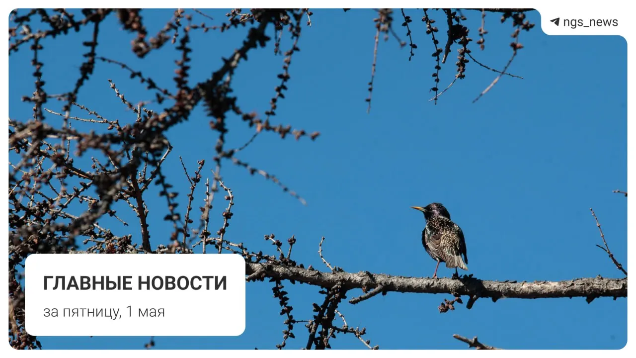 Коротко: в Татарске рухнул потолок в детской спортивной школе — пострадавших нет. Также в подборке — новости о метропоезде, фонтане, первомайском шествии и погроме на площади.