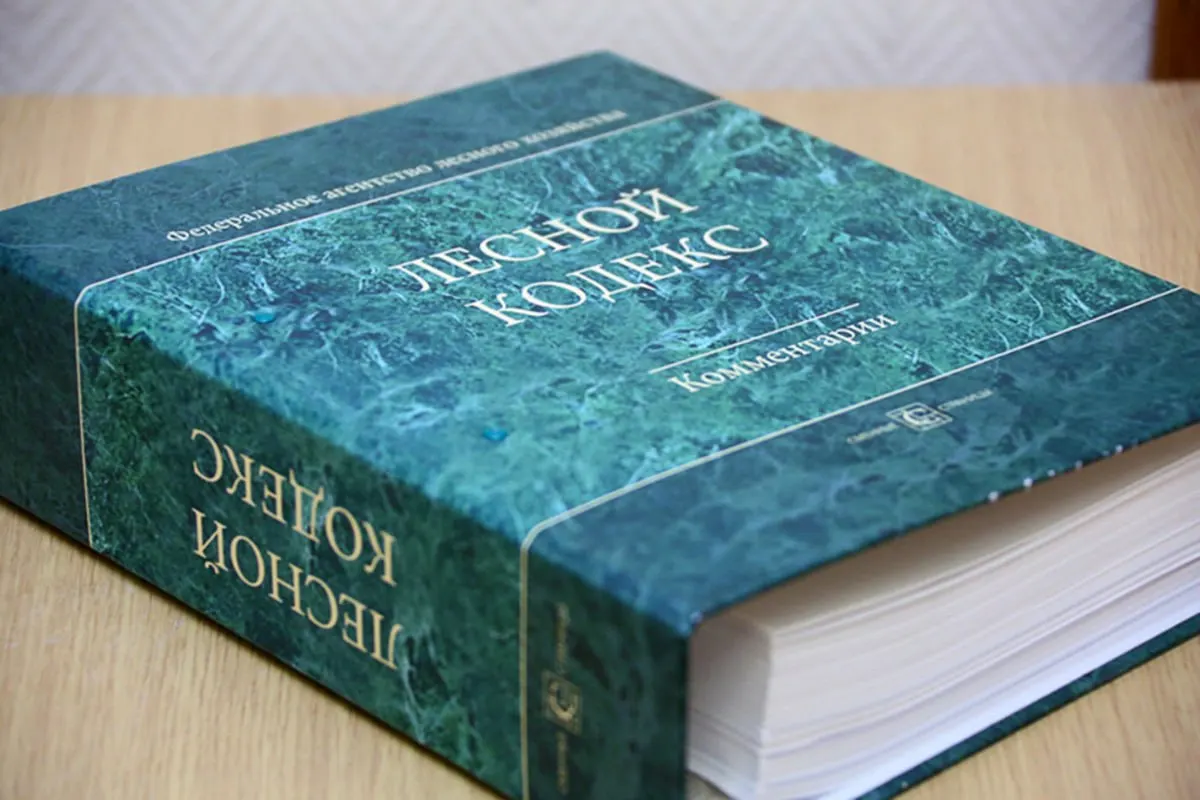 Лесной кодекс 2006 года претерпел почти сотню поправок: эксперт по лесному хозяйству считает, что документ фактически стал новым и нуждается в полной и глубокой переработке.