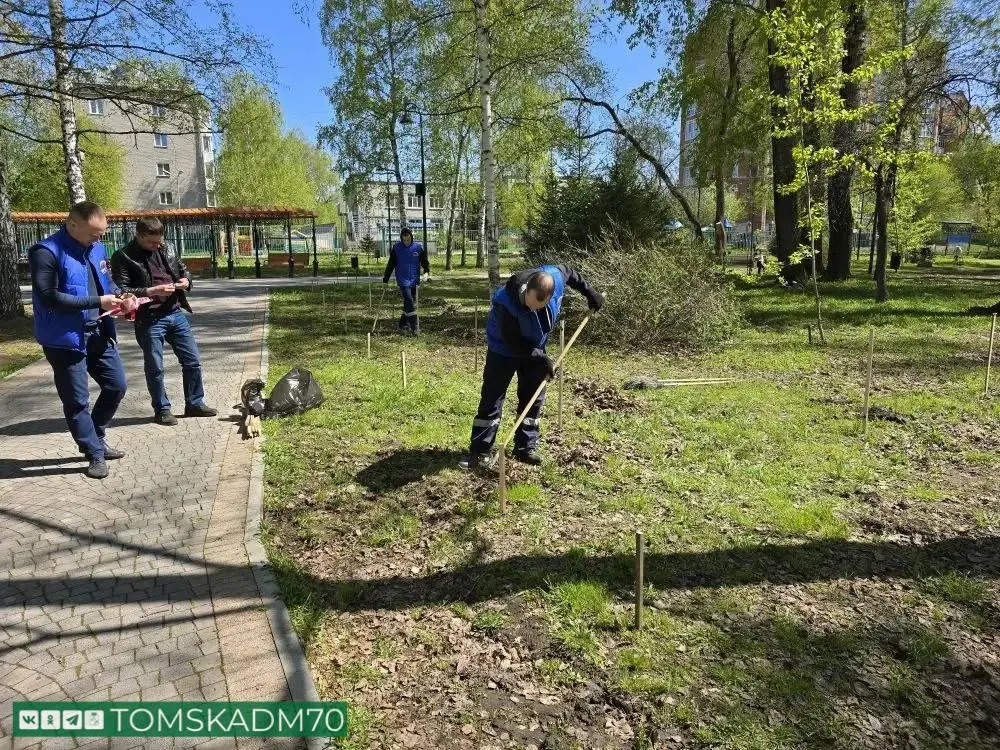 В Буфф‑саду планируют посадить 12 яблонь и 15 кустов гортензии — инициативу подготовили сотрудники телекомпании при поддержке мэрии Томска.