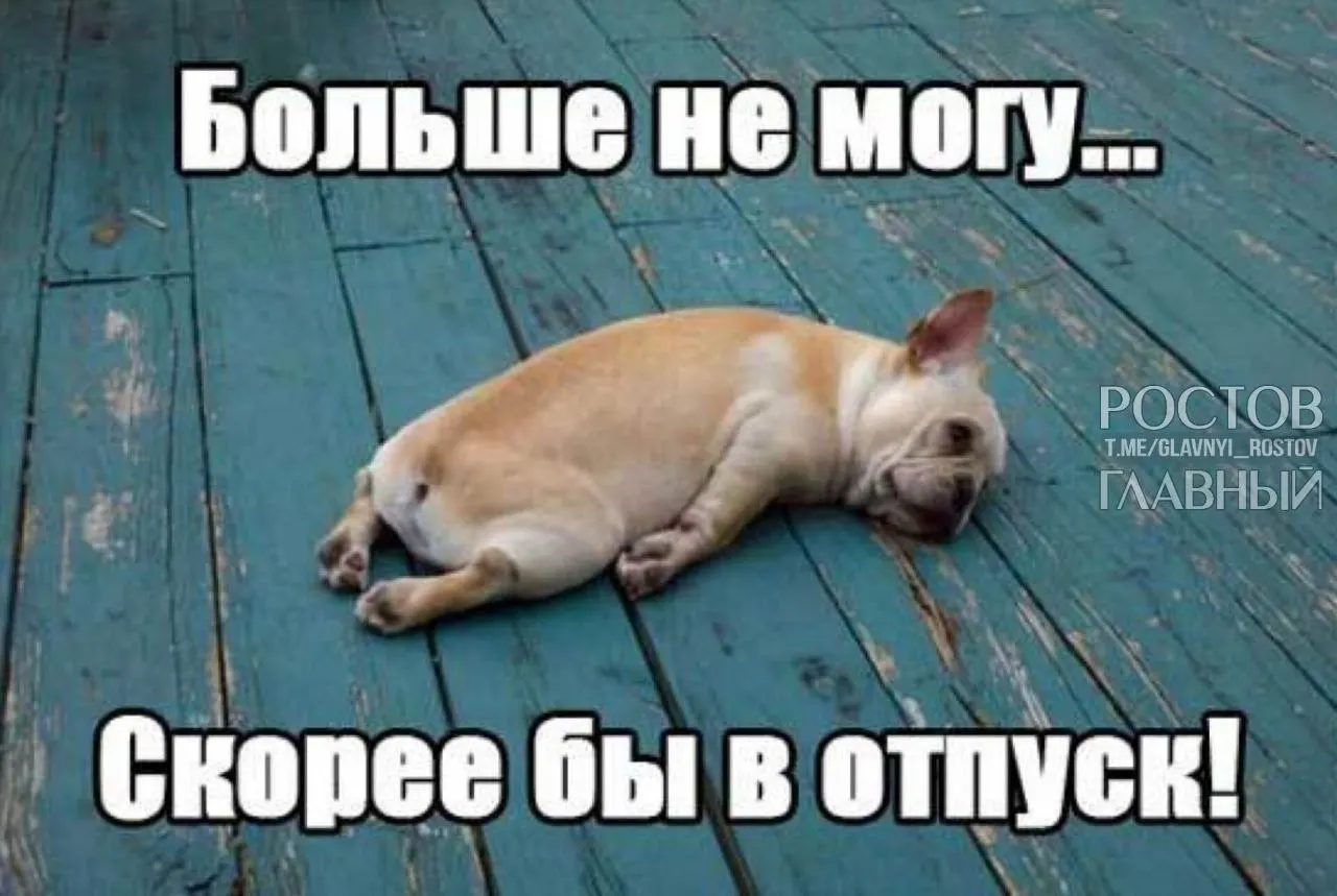 Депутаты предлагают расширить минимальную продолжительность отпуска, считая, что это компенсирует включённые в него выходные и поможет гражданам лучше отдыхать, снижая риск профессионального выгорания.