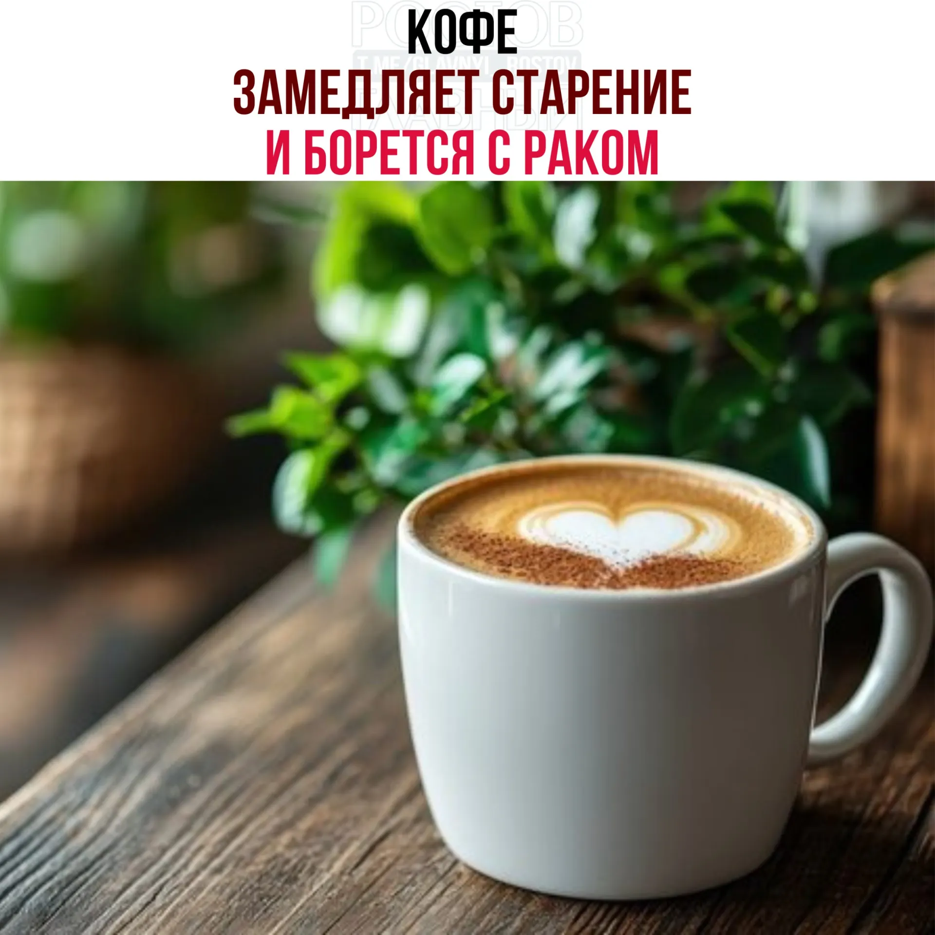 В кофейных зёрнах обнаружили кислоты и полифенолы, усиливающие работу белка NR4A1. Это ускоряет восстановление тканей, снижает воспаление и замедляет рост опухолевых клеток.