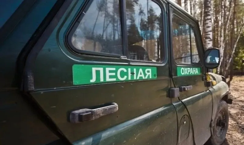 Департамент лесного хозяйства объявил набор общественных лесных помощников: добровольцы пройдут обучение, будут проводить рейды, разъяснять правила поведения и сообщать о пожарах и нарушениях.