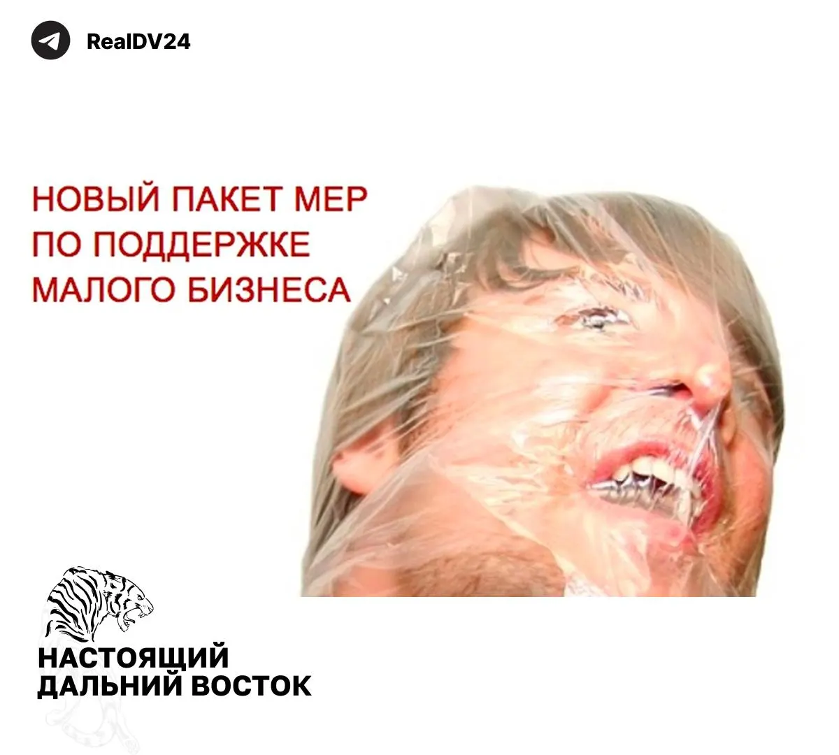 Федеральная налоговая служба направила регионам рекомендации по увеличению налоговых поступлений: расширение налогооблагаемой недвижимости, повышение транспортного налога и отмена неэффективных льгот.