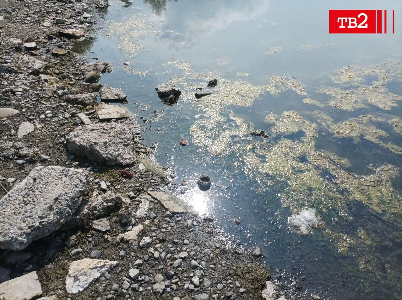 Жители Томска сообщают, что Белое озеро обмелело, покрыто тиной, в воде плавают мусор и мертвая птица; ранее фиксировали массовую гибель рыбы.