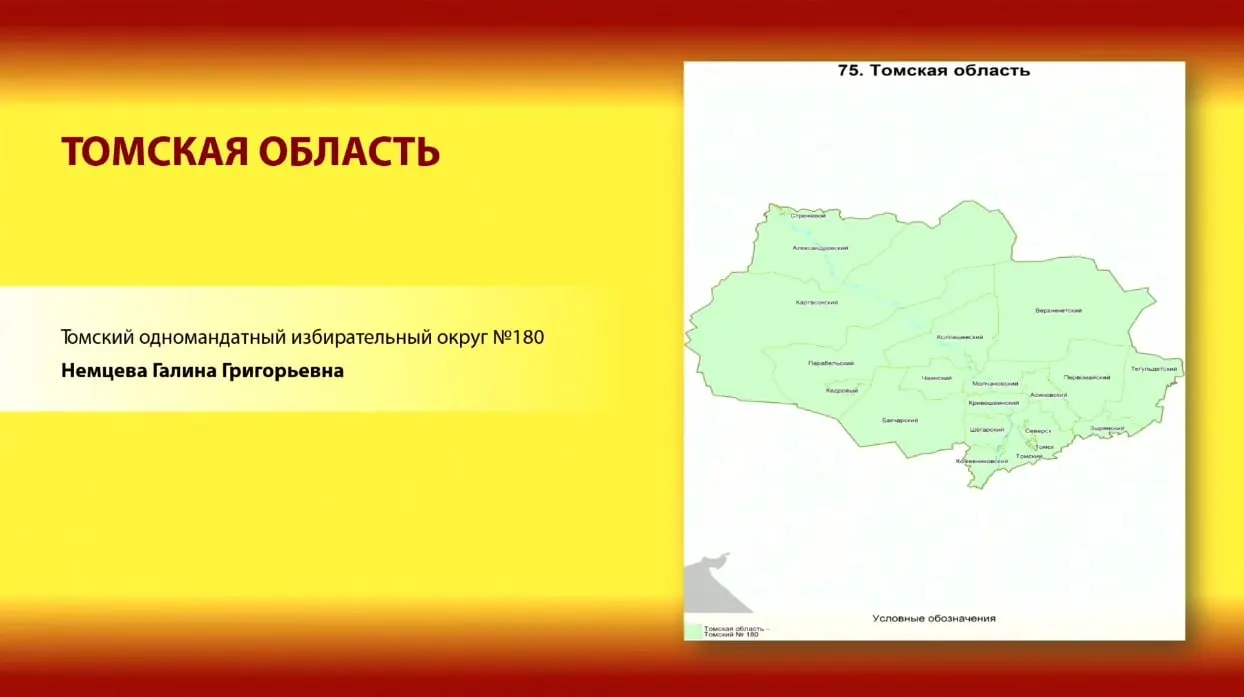 Галина Немцева выдвинута по одномандатному округу №180. Ниже — сформированный список основных кандидатов по округу.