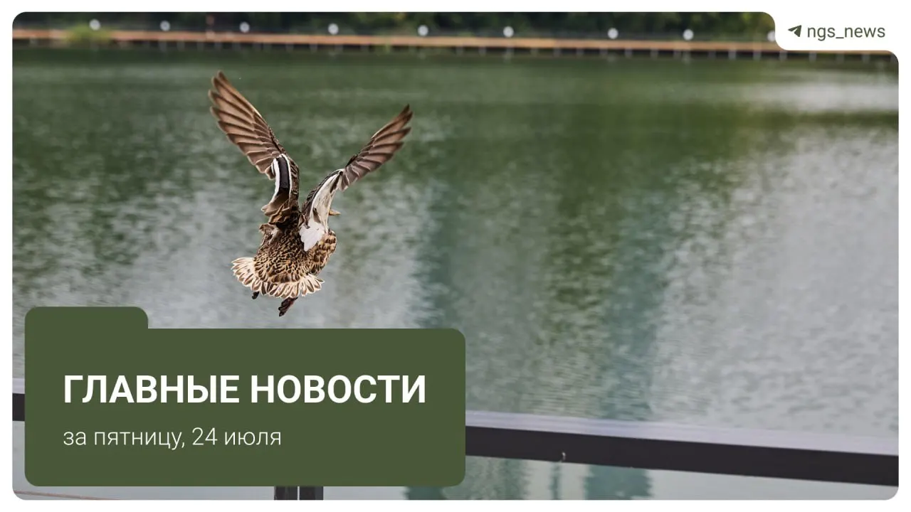Кратко: ЦБ снизил ключевую ставку, в Новосибирске демонтировали незаконные павильоны, вынесли приговор по делу о совращении, упростили аренду квартир и перевели под домашний арест экс-министра.
