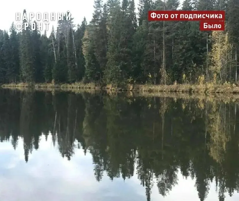 После прорыва дамбы в конце мая озеро Каличниково в поселке Мирный обмелело: погибли рыба и водная растительность. Общественные активисты просят проверить причины, оценить ущерб и обязать виновных восстановить гидротехническое сооружение.