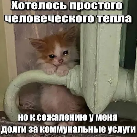 ВС подтвердил, что требовать с жильцов погашения долгов за капитальный ремонт старше срока исковой давности (три года) нельзя. Решение может затронуть покупателей вторичного жилья и наследников.
