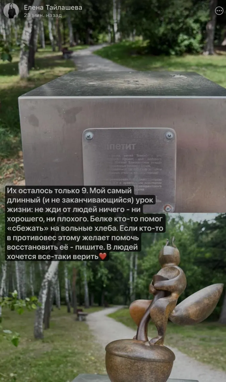 Одна из фигур проекта «Найди белку, узнай Томск!» исчезла: автор заявляет, что скульптуру, вероятно, выкрутили, восстановление затруднительно, будет подано заявление в полицию.