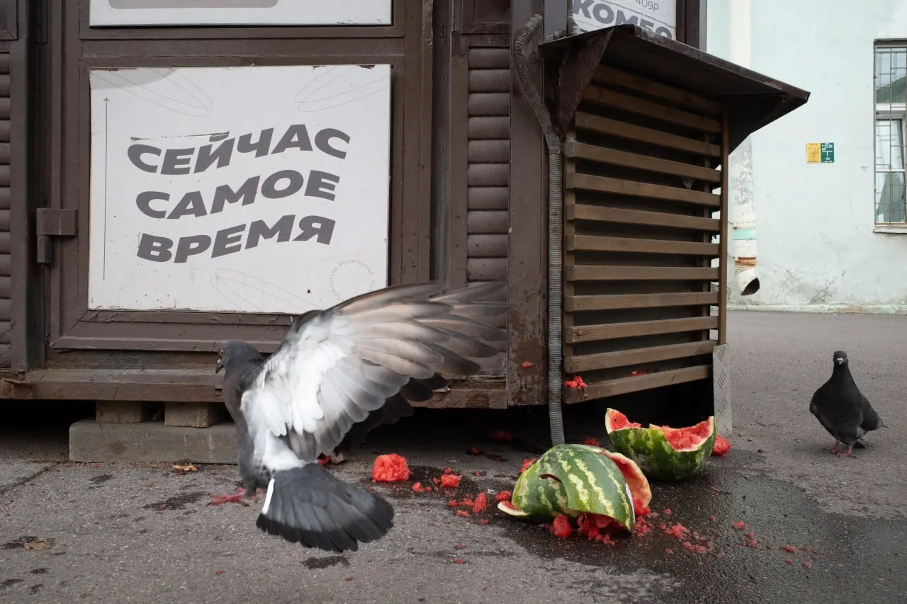События в Санкт‑Петербурге и Ленобласти, политические процессы по всей России и новые детали на международной арене.