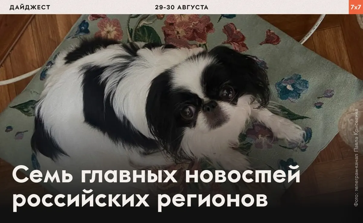 За последние дни власти применяют давление на активистов и политиков в разных регионах: принудительная физическая активность, запреты агитации и попытки повлиять на выборы.