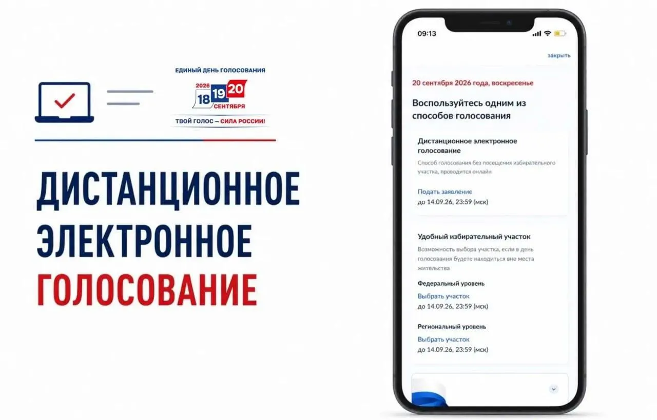 Стартовал прием заявлений на дистанционное голосование; обсуждают прозрачность процедуры и возможные риски фальсификаций.
