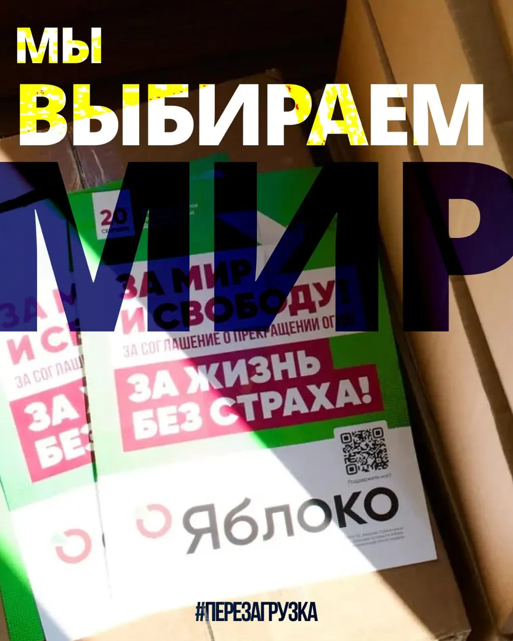 В 53 регионах действуют кампании 135 кандидатов от партии; решение о снятии федерального списка будет обжаловано, поддержка растёт.