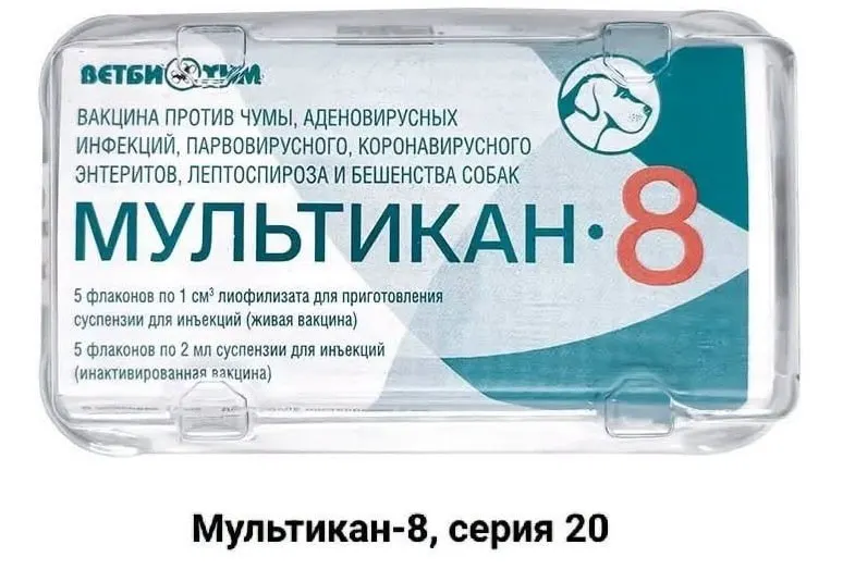 Потери животных после прививки вакциной «Мультикан-8» вызвали обращения к блогерам и журналистам с призывом к независимой экспертизе.