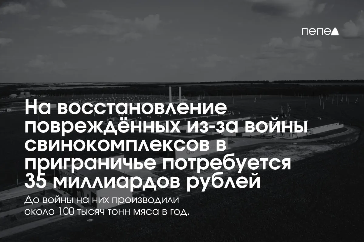 Оценка затрат на восстановление пострадавших ферм в приграничных Белгородской, Курской и Брянской областях достигла 35 млрд рублей; на фоне обстрелов сохраняется потребность в мерах безопасности и поддержке отрасли.