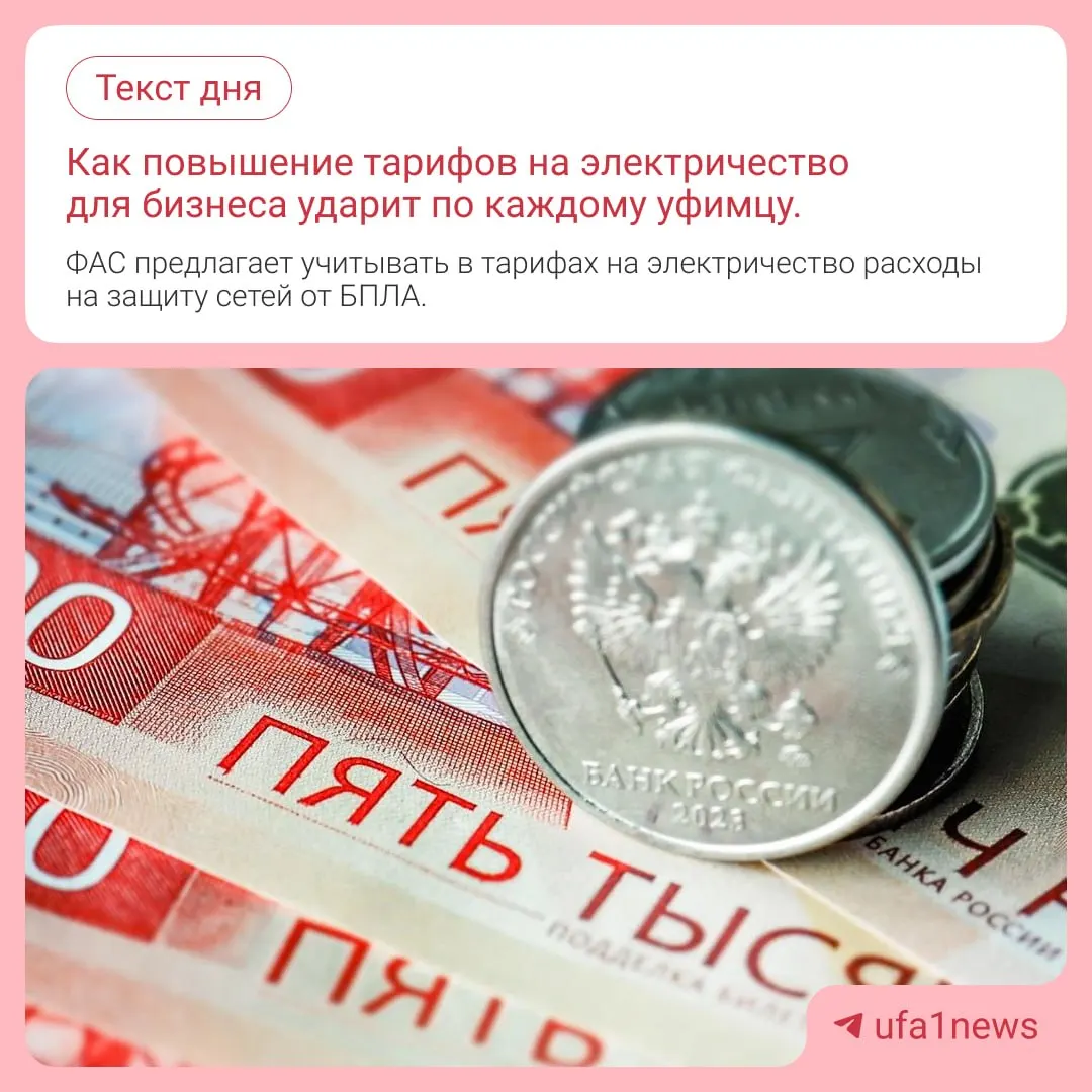 ФАС предлагает включать в расчёты тарифов затраты сетевых компаний на защиту инфраструктуры от беспилотников, что может привести к росту цен на электроэнергию по всей России.